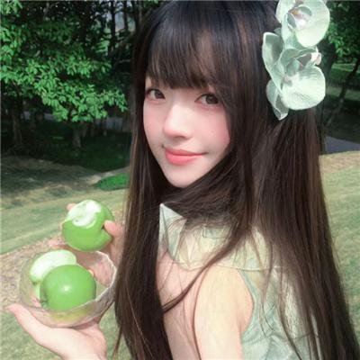 还珠记
